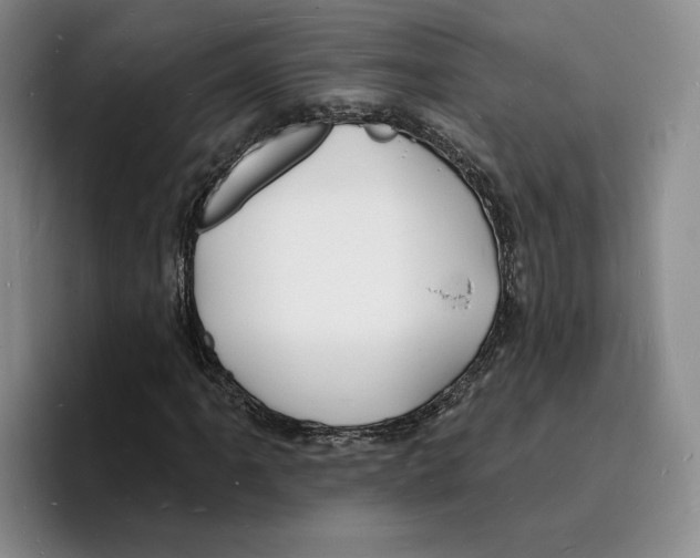 X0000096391061200802211137