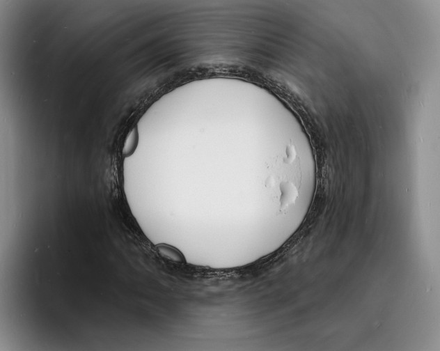 X0000096391062200802211137