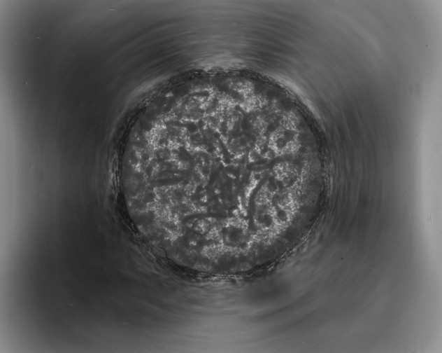 X0000096391063200802211137
