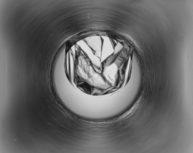 X0000096391065200802211137