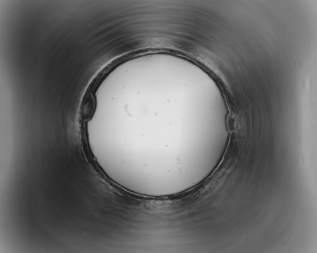 X0000096391068200802211137