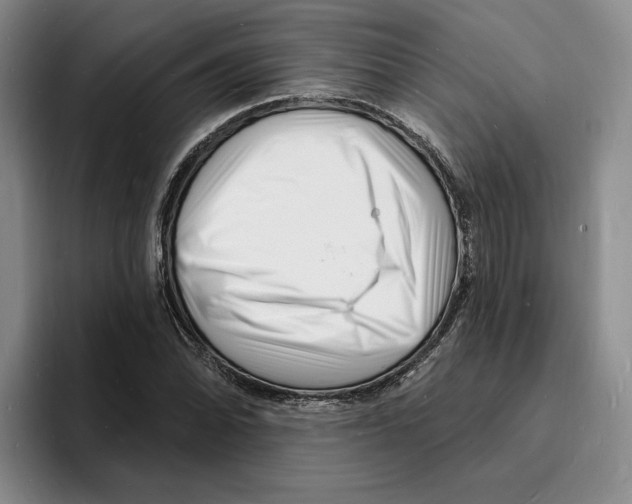 X0000096391070200802211137