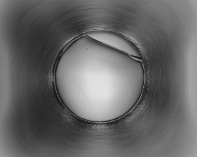 X0000096391073200802211137