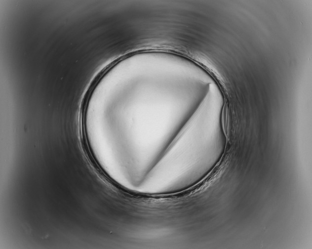 X0000096391079200802211137