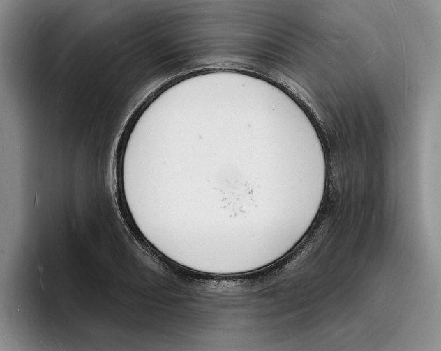 X0000096391082200802211136