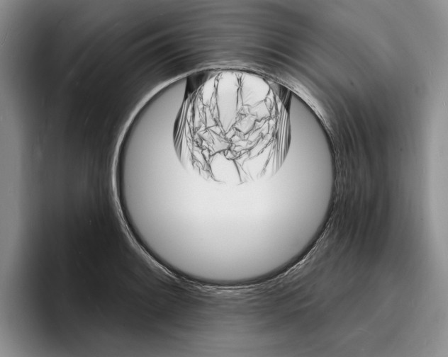 X0000096391084200802211136