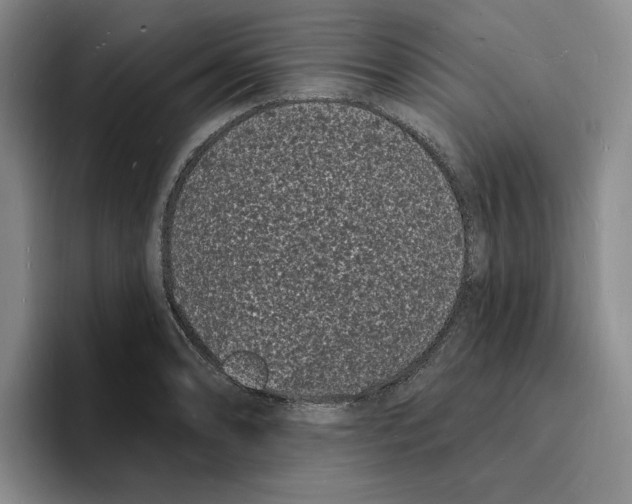 X0000096391086200802211136