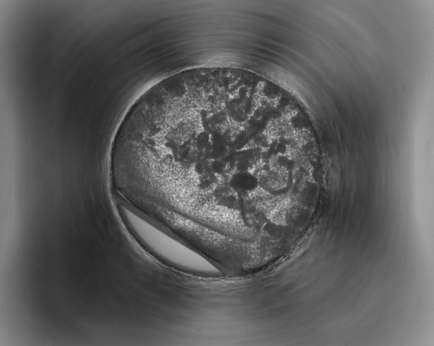 X0000096391087200802211136