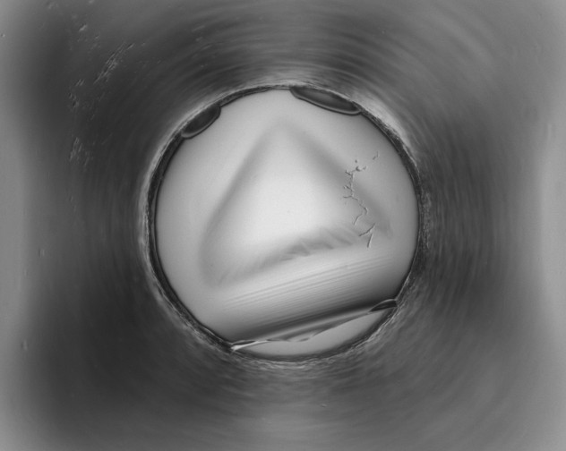 X0000096391088200802211136