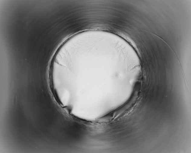 X0000096391091200802211136