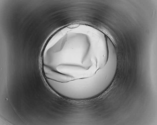 X0000096391092200802211136