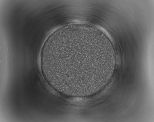 X0000096391098200802211136