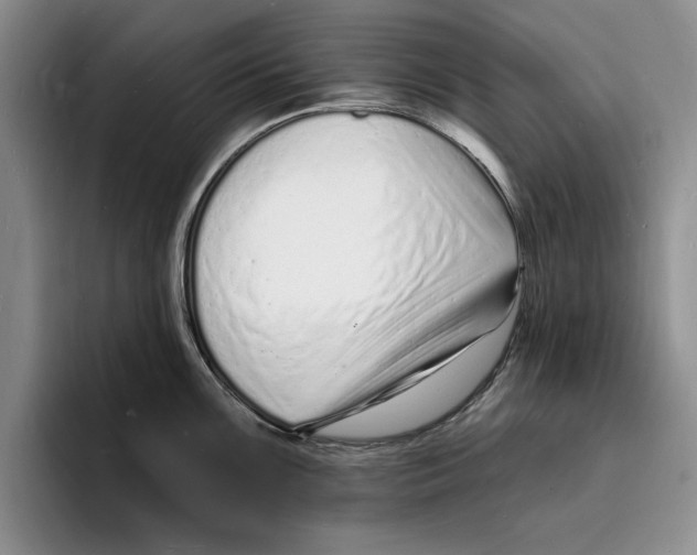 X0000096391099200802211136