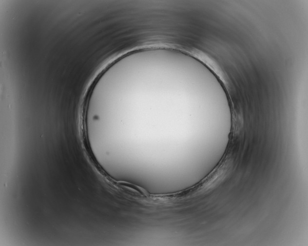 X0000096391101200802211136