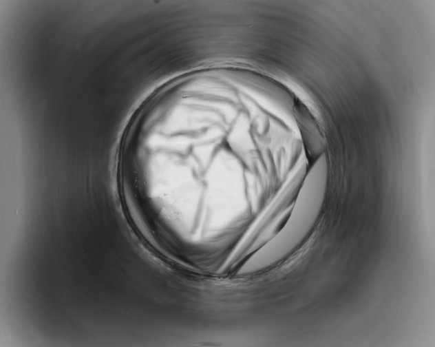 X0000096391102200802211136