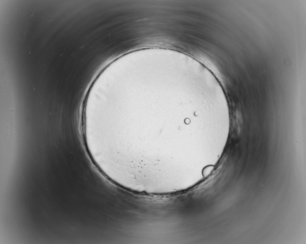 X0000096391103200802211136