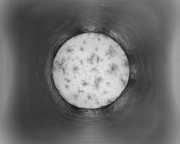 X0000096391105200802211135