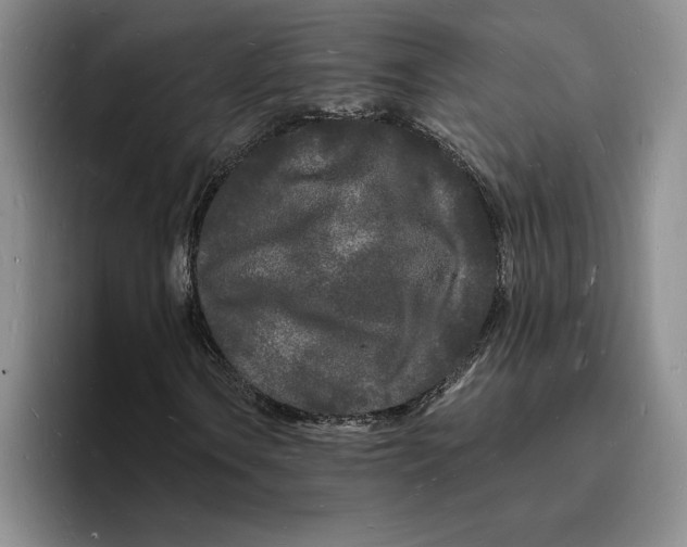 X0000096391106200802211136