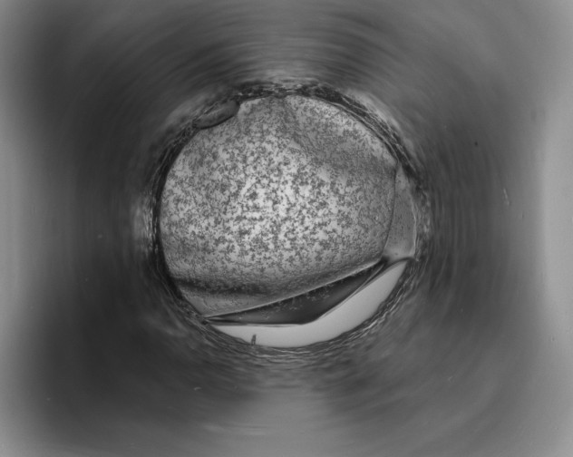 X0000096391110200802211136