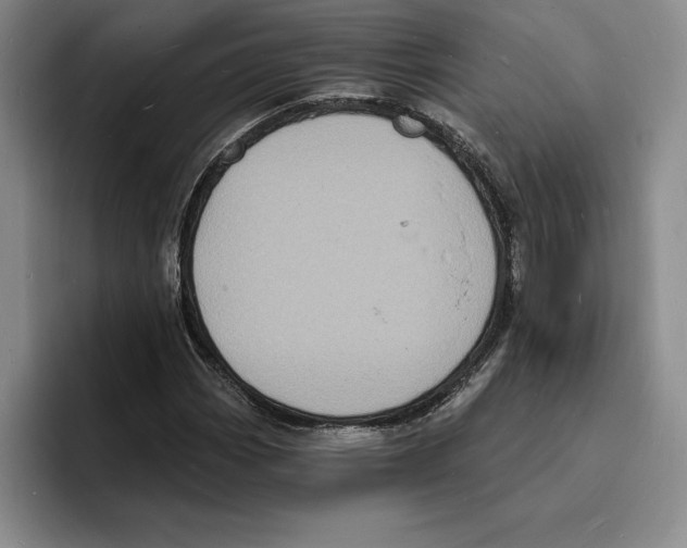 X0000096391113200802211136