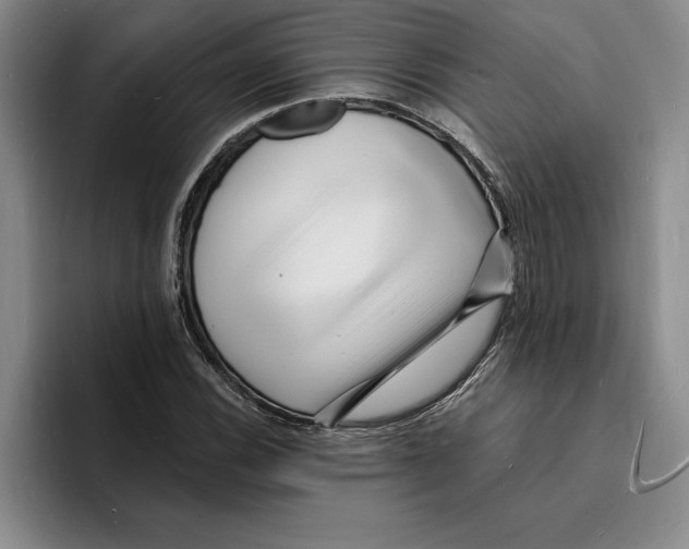 X0000096391116200802211136