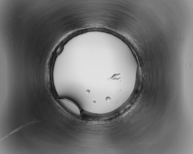 X0000096391118200802211136