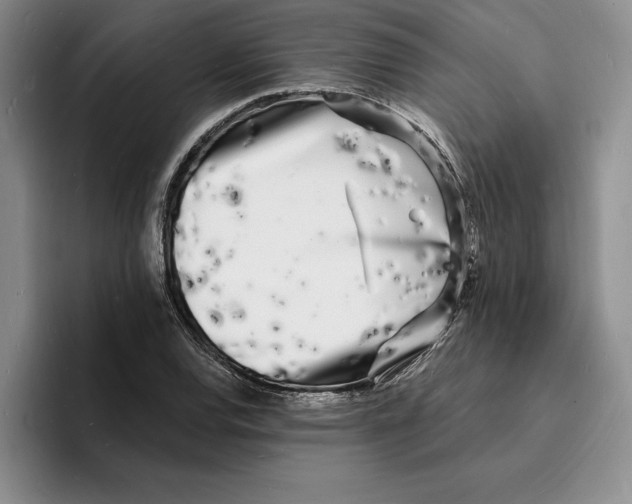 X0000096391120200802211136