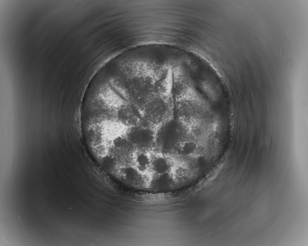 X0000096391121200802211136