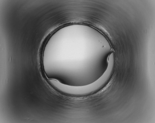 X0000096391122200802211136