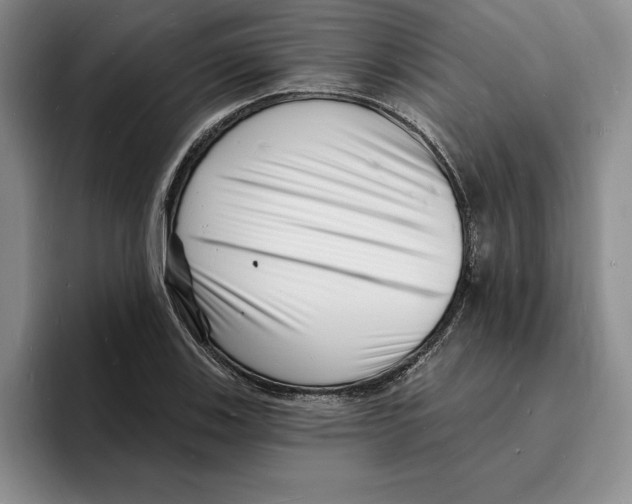 X0000096391123200802211136