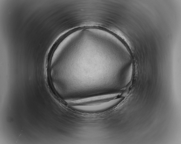 X0000096391124200802211136
