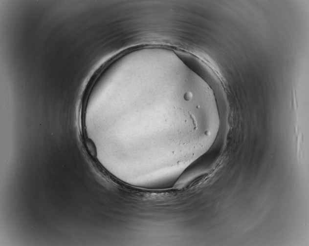 X0000096391128200802211136