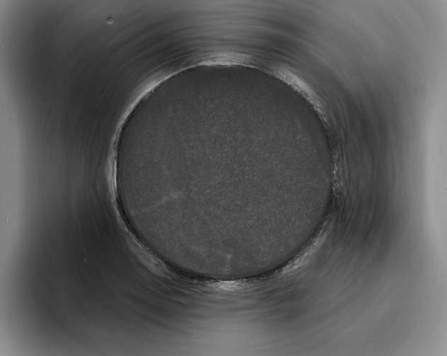 X0000096391130200802211136