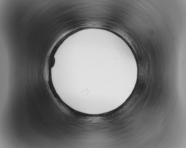 X0000096391131200802211136
