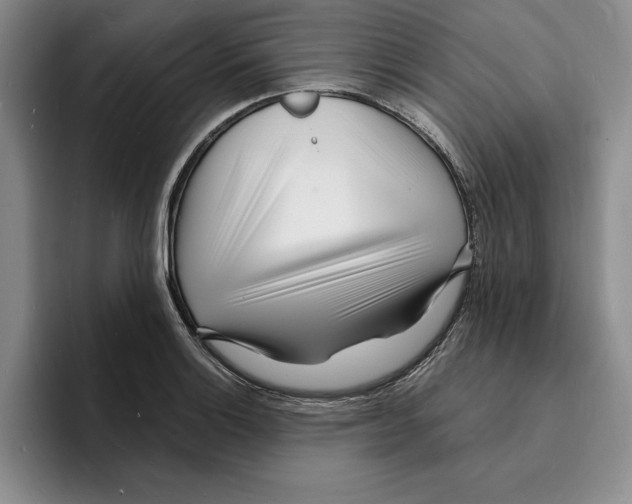 X0000096391132200802211136
