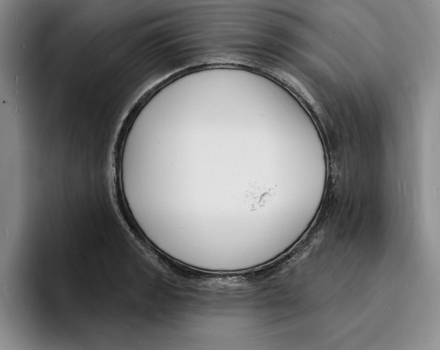 X0000096391133200802211136