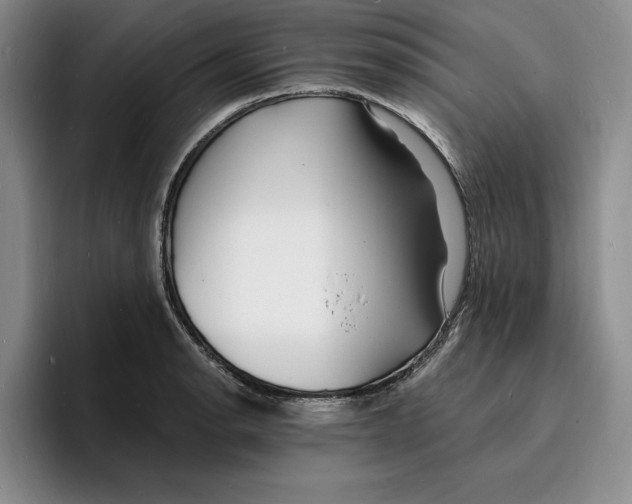 X0000096391134200802211136