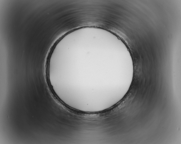 X0000096391135200802211136