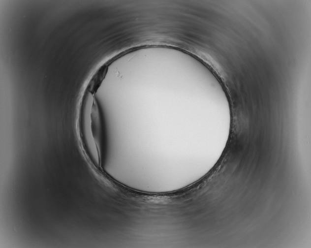 X0000096391136200802211136