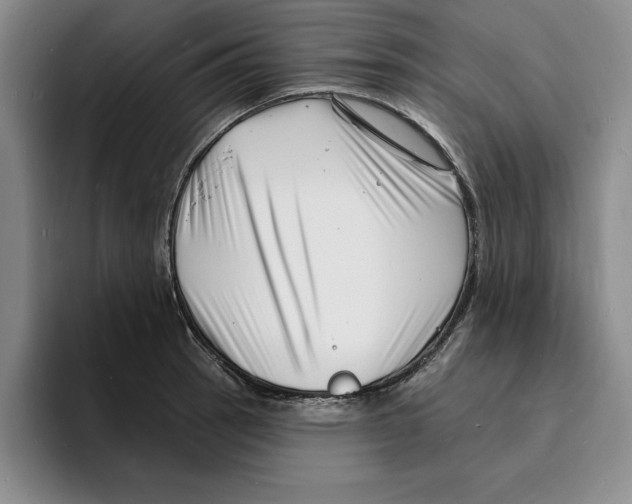 X0000096391137200802211136