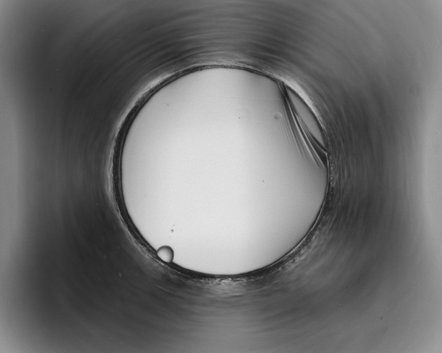 X0000096391139200802211136