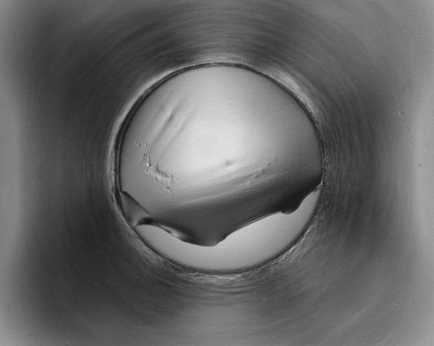 X0000096391140200802211136