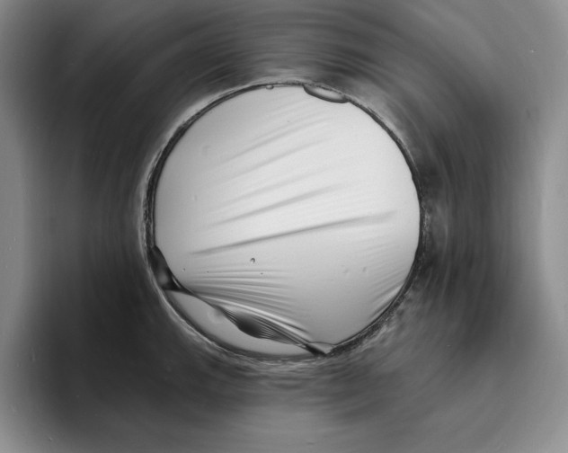 X0000096391143200802211136