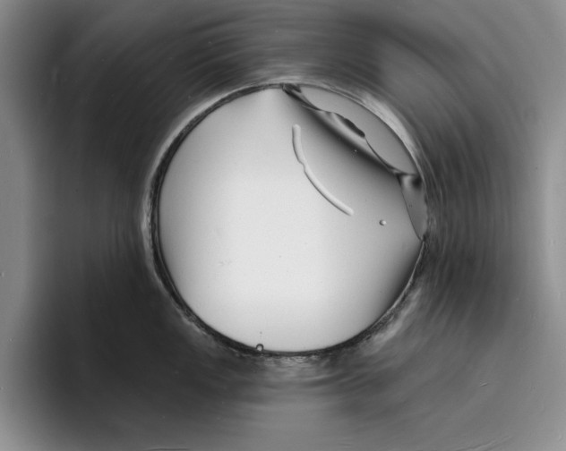X0000096391149200802211136