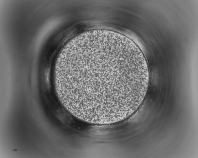 X0000096391150200802211136