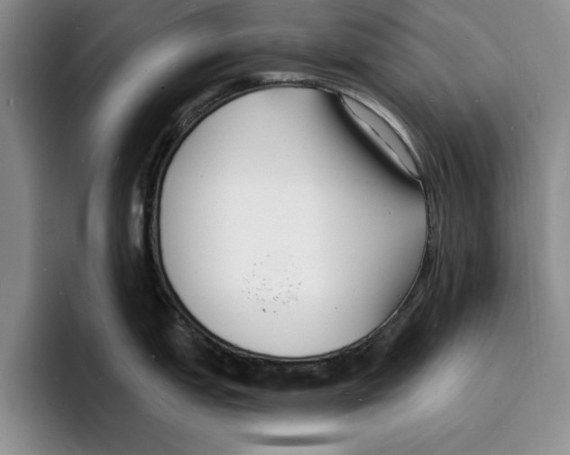 X0000096391151200802211136