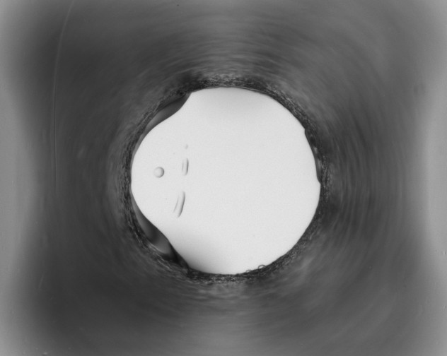 X0000096391153200802211135