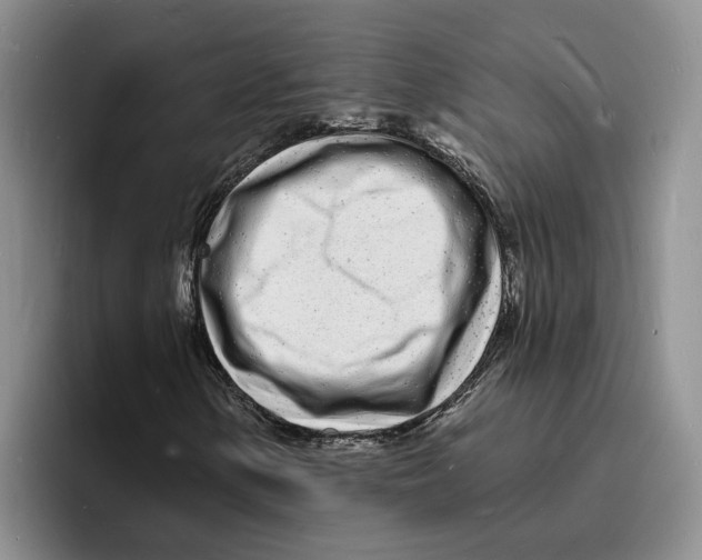 X0000096391154200802211135