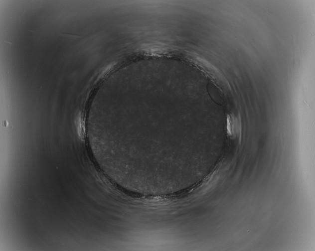 X0000096391155200802211135