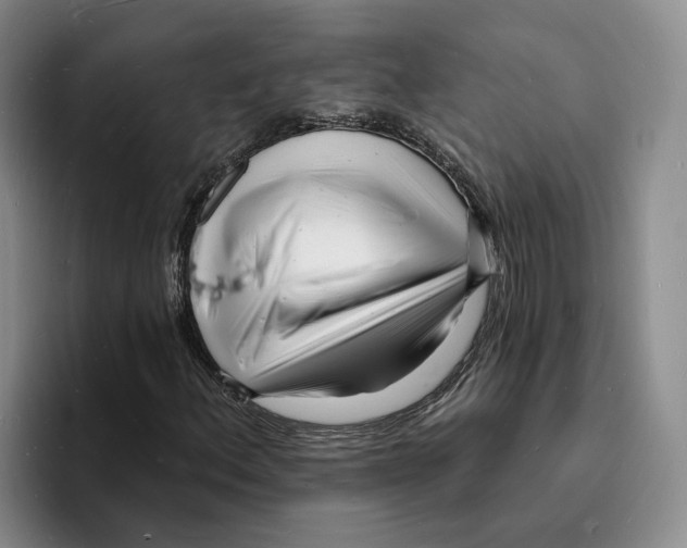 X0000096391156200802211135